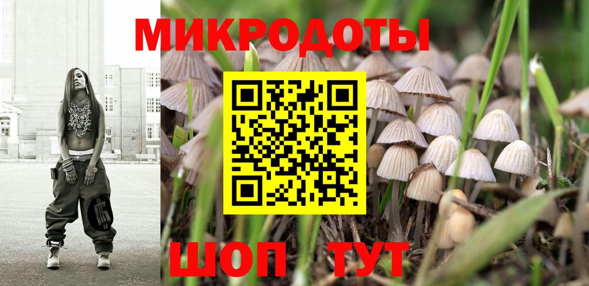 Псилоцибиновые грибы ЛСД Петрозаводск