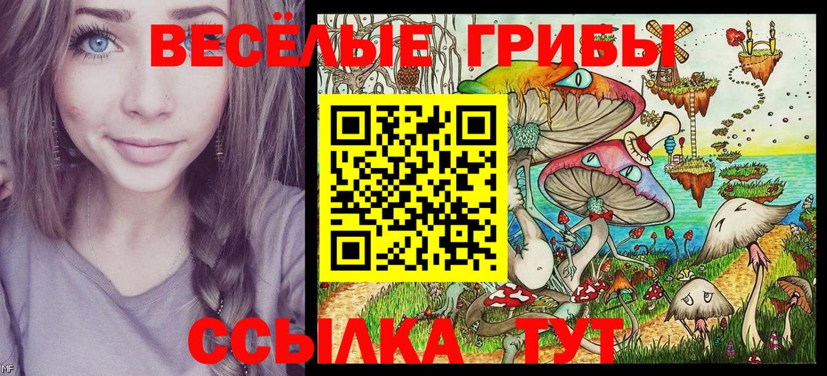 Псилоцибиновые грибы GOLDEN TEACHER  Вход с VPN  Петрозаводск 